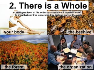 2. There are
Relationships
The consistent yet dynamic web
of internal and external interactions between parts
 