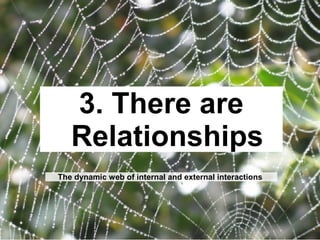 your body the beehive
the forest the organization
3. There is a Whole
an emergent level of life with characteristics & capabilities of
its own that can’t be understood by looking only at the parts
 