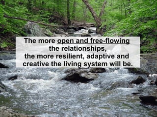 The more convergent the whole
(for example: the more you remain
recognizably you even as your
cells are continuously replaced)
the more resilient, adaptive and
creative the living system will be.
 