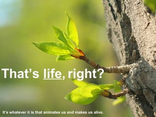 That’s life, right?
It’s whatever it is that animates us and makes us alive.
 