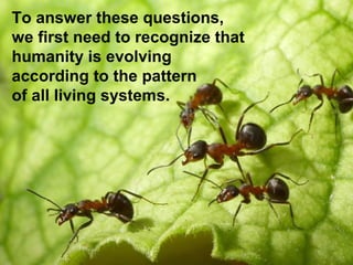 To answer these questions,
we first need to recognize that
humanity is evolving
according to the pattern
of all living systems.
 