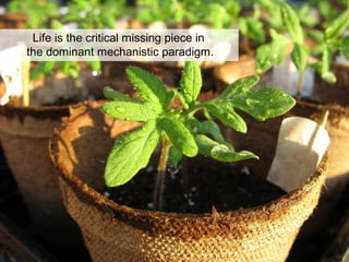 Life is the critical missing piece in
the dominant mechanistic paradigm.
 