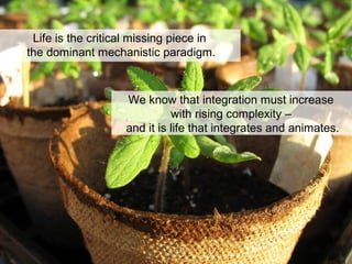 Life is the critical missing piece in
the dominant mechanistic paradigm.
We know that integration must increase
with rising complexity –
and it is life that integrates and animates.
 