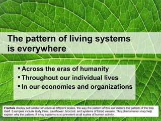  Across the eras of humanity
 Throughout our individual lives
 In our economies and organizations
The pattern of living systems
is everywhere
Fractals display self-similar structure at different scales, the way the pattern of this leaf mirrors the pattern of the tree
itself. Examples include leafy trees, cauliflower, broccoli, and systems of blood vessels. This phenomenon may help
explain why the pattern of living systems is so prevalent at all scales of human activity.
 