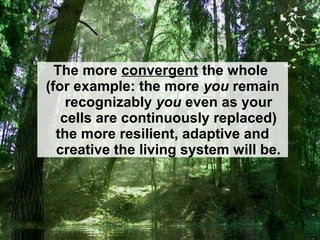 The more open and free-flowing
the relationships,
the more resilient, adaptive and
creative the living system will be.
 
