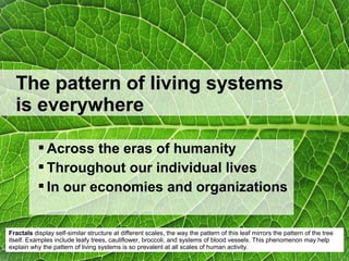  Across the eras of humanity
 Throughout our individual lives
 In our economies and organizations
The pattern of living...