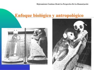 Enfoque biológico y   antropológico Mejoramiento Continuo Desde La Perspectiva De La Humanización 