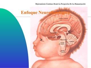 Enfoque Neurofisiológico Mejoramiento Continuo Desde La Perspectiva De La Humanización 