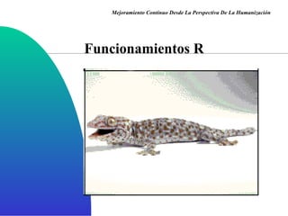 Funcionamientos R Mejoramiento Continuo Desde La Perspectiva De La Humanización 