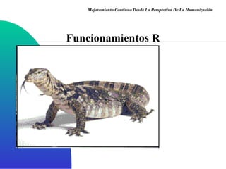 Funcionamientos R Mejoramiento Continuo Desde La Perspectiva De La Humanización 
