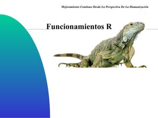 Funcionamientos R Mejoramiento Continuo Desde La Perspectiva De La Humanización 