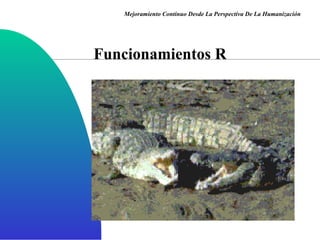 Funcionamientos R Mejoramiento Continuo Desde La Perspectiva De La Humanización 