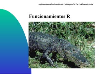 Funcionamientos R Mejoramiento Continuo Desde La Perspectiva De La Humanización 