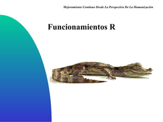 Funcionamientos R Mejoramiento Continuo Desde La Perspectiva De La Humanización 