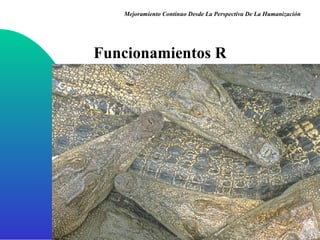Funcionamientos R Mejoramiento Continuo Desde La Perspectiva De La Humanización 