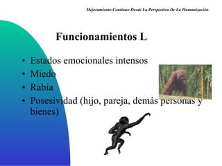 Funcionamientos L Estados emocionales intensos Miedo Rabia Posesividad (hijo, pareja, demás personas y bienes) Mejoramiento Continuo Desde La Perspectiva De La Humanización 