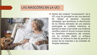  Dentro del contexto “humanización” de la
UTI, cuyo fin principal es dar una atención
de calidad al paciente, buscando
estrategias que favorezcan la disminución
de los efectos derivados de una estancia
prolongada en cuidados intensivos, se
plantea en base a que existe una evidencia
científica sobre el vínculo humano-animal,
los beneficios terapéuticos del contacto
con los animales desde un enfoque
holístico, se refuerza la idea de permitir el
acceso de las mascotas a las Unidades de
Terapias Intensivas.
 