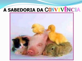 A SABEDORIA DA CONVIVÊNCIA
 