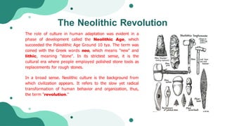 Neolithic Roles Humanization | PPTX