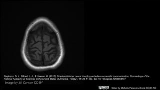 Slides by Michelle Pacansky-Brock CC-BY-NC
Stephens, G. J., Silbert, L. J., & Hasson, U. (2010). Speaker-listener neural coupling underlies successful communication. Proceedings of the
National Academy of Sciences in the United States of America, 107(32), 14425-14430. doi: 10.1073/pnas.1008662107
 