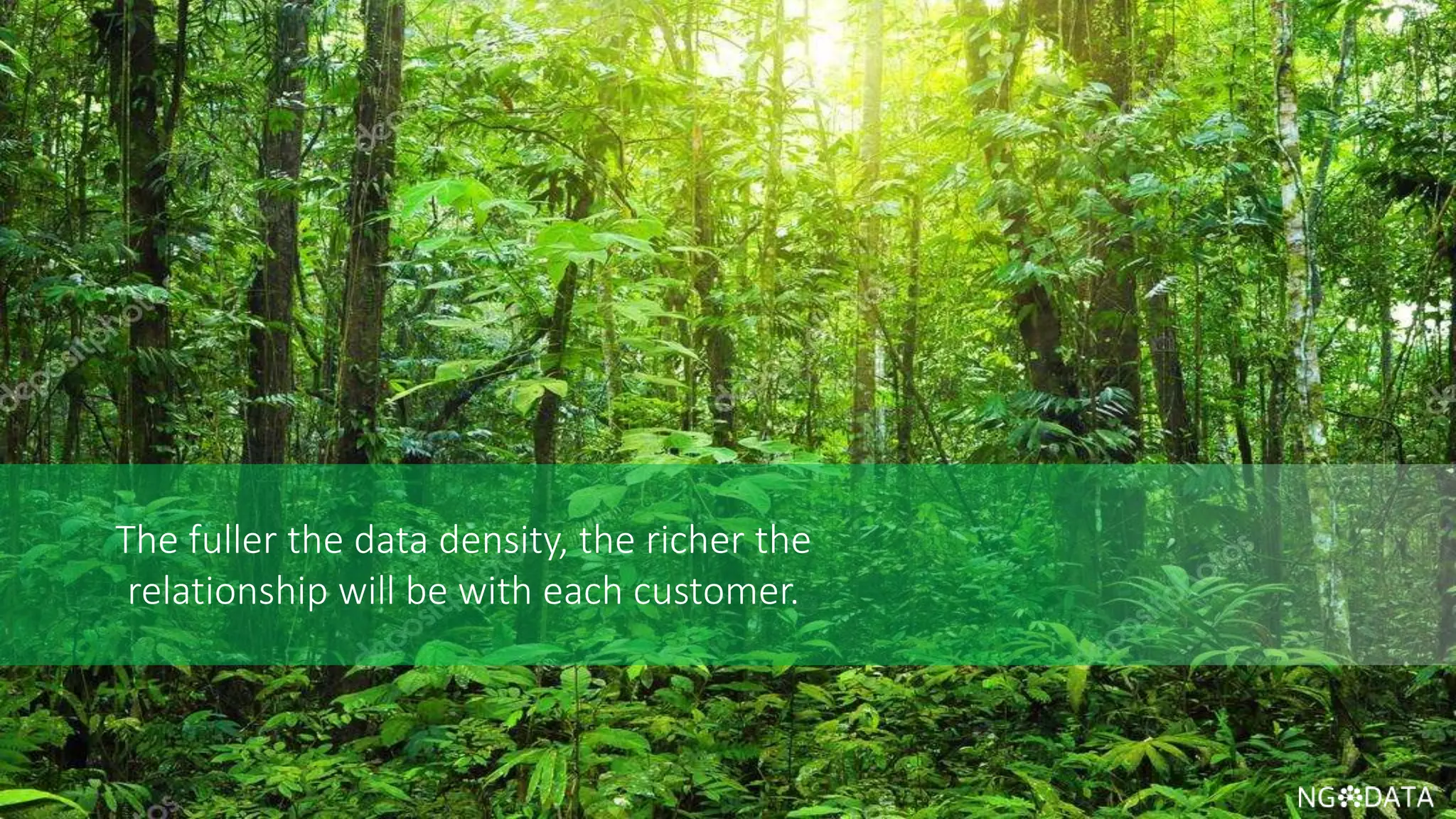 18 Copyright 2017 NGDATA
®, Inc.
The fuller the data density, the richer the
relationship will be with each customer.
 