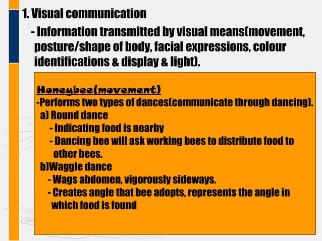 Human language | PPT