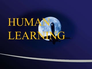 HUMAN
LEARNING

 