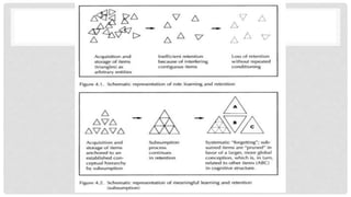 Human learning | PPTX