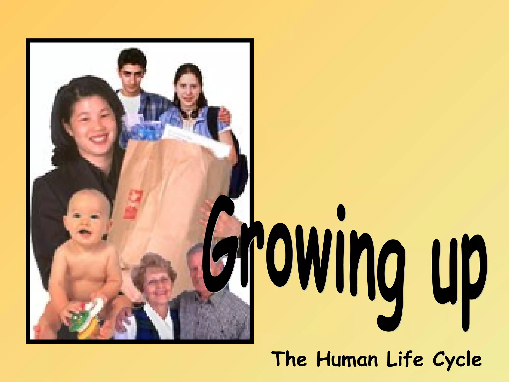 The Human Life Cycle