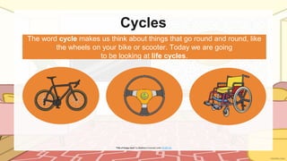 Human Life Cycle science for upper primary | PPT