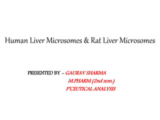Human Liver Microsomes & Rat Liver Microsomes
PRESENTED BY - GAURAV SHARMA
M.PHARM (2nd sem.)
P’CEUTICAL ANALYSIS
 