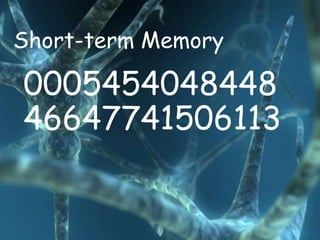 Short-term Memory

0005454048448
46647741506113
 