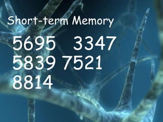 Short-term Memory

5695 3347
5839 7521
8814
 