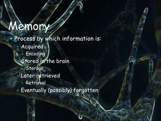 Memory
 Process by which information is:
    Acquired
       Encoding
   Stored in the brain
       Storage
   Later retrieved
       Retrieval
   Eventually (possibly) forgotten
 