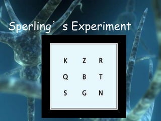 Sperling’s Experiment
 