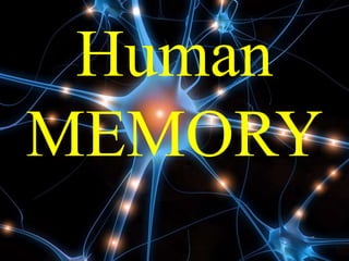 Human
MEMORY
 