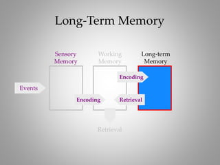 Human Memory | PPTX