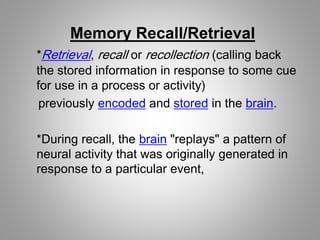 Human Memory | PPTX