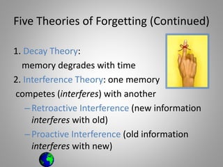 Memory Deficit Theory Human Memory | PPTX