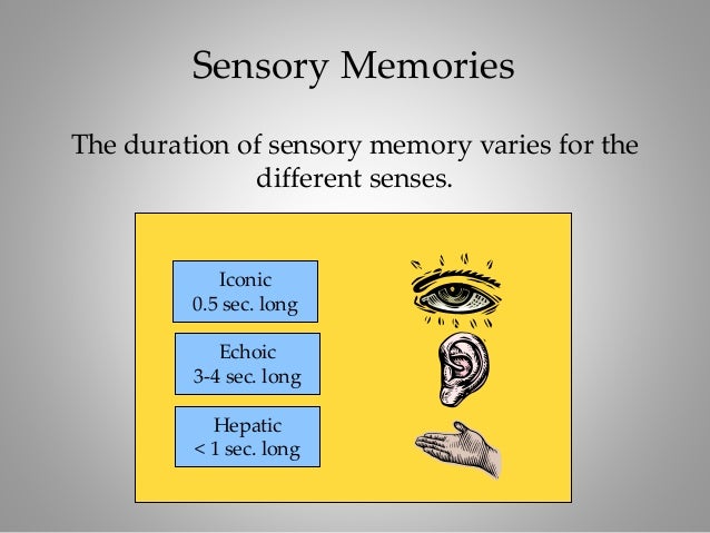 Human Memory