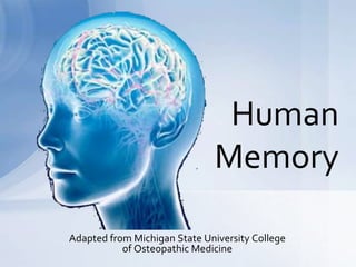 Adapted from Michigan State University College
of Osteopathic Medicine
Human
Memory
 