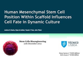 Stem Cells Bioengineering
    21th December 2012



                            Diana Santos nº 72459 MEBiom
                             Sofia Sousa nº 54180 MEBiol
 