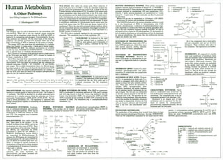 Human metabolism manual, map, enymes, hormones, pathways etc | PDF