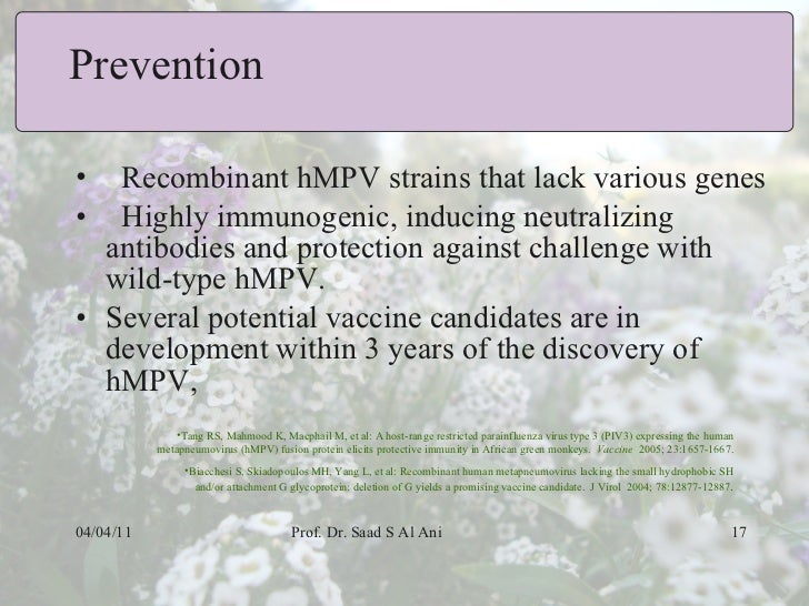 Human metapneumovirus