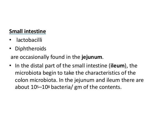 Human Microbial Flora