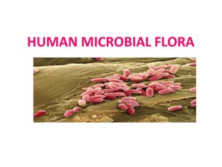 HUMAN MICROBIAL FLORA
 