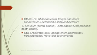  Other GPBs Bifidobacterium, Corynebacterium,
Eubacterium, Lactobacillus, Propionibacterium
B. denticum (dental plaque), Lactobacillus & streptococci
(tooth caries),
 GNB : Anaerobes like Fusobacterium, Bacteroides,
Porphyromonas, Prevotella, Selenomonas
Topley and ASM Manual of clinical microbiology
 