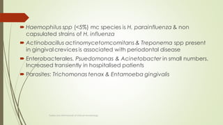  Haemophilus spp (<5%) mc species is H. parainfluenza & non
capsulated strains of H. influenza
 Actinobacillus actinomycetomcomitans & Treponema spp present
in gingival crevices is associated with periodontal disease
 Enterobacterales, Psuedomonas & Acinetobacter in small numbers.
Increased transiently in hospitalised patients
 Parasites: Trichomonas tenax & Entamoeba gingivalis
Topley and ASM Manual of clinical microbiology
 