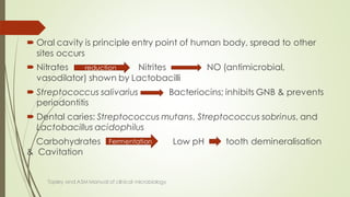  Oral cavity is principle entry point of human body, spread to other
sites occurs
 Nitrates Nitrites NO (antimicrobial,
vasodilator) shown by Lactobacilli
 Streptococcus salivarius Bacteriocins; inhibits GNB & prevents
periodontitis
 Dental caries: Streptococcus mutans, Streptococcus sobrinus, and
Lactobacillus acidophilus
Carbohydrates Low pH tooth demineralisation
& Cavitation
Topley and ASM Manual of clinical microbiology
reduction
Fermentation
 