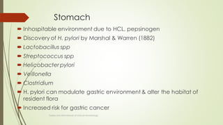 Stomach
 Inhospitable environment due to HCL, pepsinogen
 Discovery of H. pylori by Marshal & Warren (1882)
 Lactobacillus spp
 Streptococcus spp
 Helicobacter pylori
 Veillonella
 Clostridium
 H. pylori can modulate gastric environment & alter the habitat of
resident flora
 Increased risk for gastric cancer
Topley and ASM Manual of clinical microbiology
 